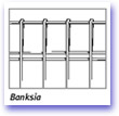 Fences Banksia